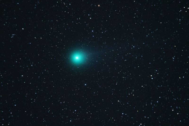 Комета C/2014 Q2 "Lovejoy". Февраль 2015  года